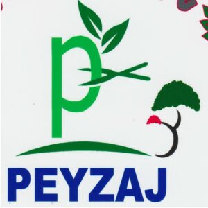 Peyzaj